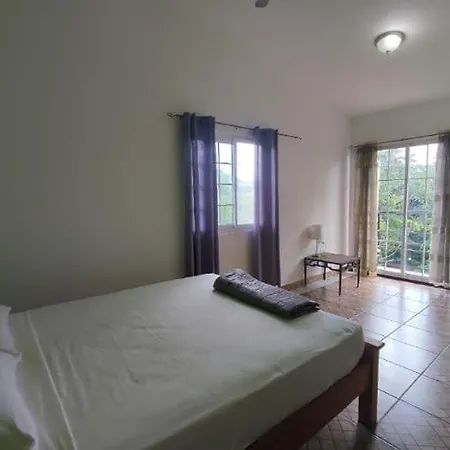 Rainforest Lodge Del Rio Portobelo Exterior photo
