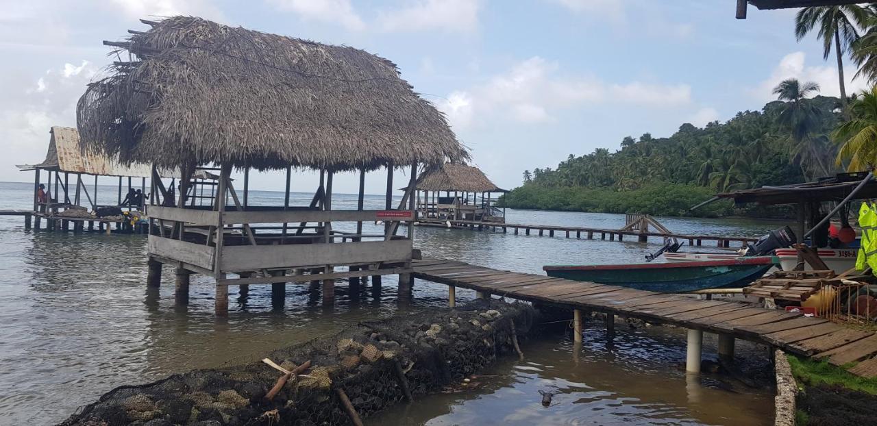 Rainforest Del Rio Guest house *