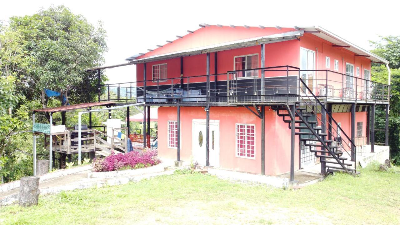 Rainforest Del Rio Guest house *